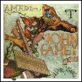 JOHN FAHEY / ジョン・フェイヒイ / AMARICA (180 GRAM COMPLETE 2LP)