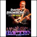 DAVID BROMBERG / デヴィッド・ブロンバーグ / IN CONCERT AT THE COUNT BASIE THEATRE / イン・コンサート