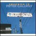 PETER GALLWAY / ピーター・ゴールウェイ / FREEDOM IS