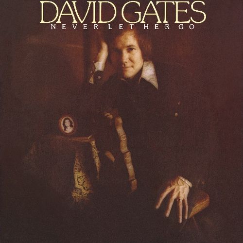 DAVID GATES / デヴィッド・ゲイツ / NEVER LET HER GO (CD)