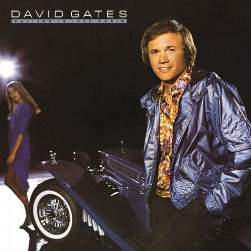 DAVID GATES / デヴィッド・ゲイツ / FALLING IN LOVE AGAIN (CD) 