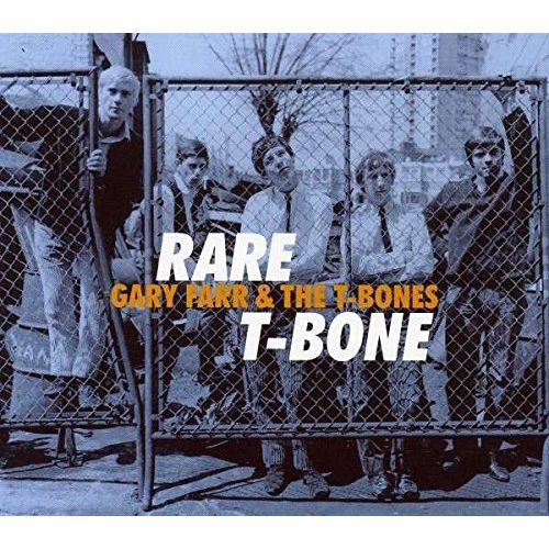 GARY FARR & THE T-BONES / ゲイリー・ファー＆ザ・T-ボーンズ / RARE T-BONE