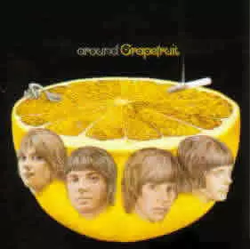 GRAPEFRUIT / グレープフルーツ商品一覧｜PROGRESSIVE ROCK