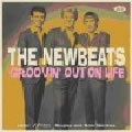 NEWBEATS / ニュービーツ / GROOVIN' OUT ON LIFE