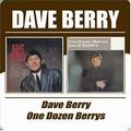 DAVE BERRY / デイヴ・ベリー / DAVE BERRY / ONE DOZEN BERRYS