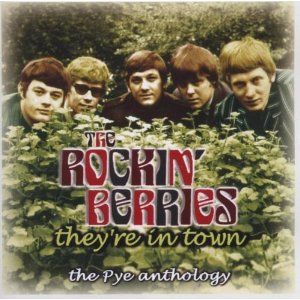 ROCKIN' BERRIES / ロッキン・ベリーズ / THEY'RE IN TOWN (2CD)