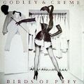 GODLEY & CREME / ゴドレイ・アンド・クレーム / BIRDS OF PREY / バーズ・オブ・プレイ (紙ジャケ)