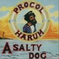 PROCOL HARUM / プロコル・ハルム / SALTY DOG