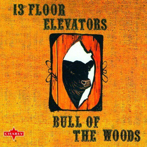 13TH FLOOR ELEVATORS / サーティーンス・フロア・エレヴェーターズ / BULL OF THE WOODS