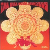 HOLY MODAL ROUNDERS / ホーリー・モーダル・ラウンダーズ / INDIAN WAR WHOOP