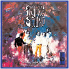 TRAFFIC SOUND / トラフィック・サウンド / YELLOW SEA YEARS 1968-71
