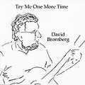 DAVID BROMBERG / デヴィッド・ブロンバーグ / TRY ME ONE MORE TIME / トライ・ミー・ワン・モア・タイム