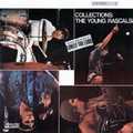 YOUNG RASCALS / ヤング・ラスカルズ / COLLECTIONS