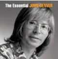 JOHN DENVER / ジョン・デンバー / ESSENTIAL JOHN DENVER / エッセンシャル・ジョン・デンバー