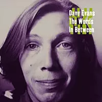 WORDS IN BETWEEN/DAVE EVANS/デイヴ・エヴァンス｜OLD ROCK｜ディスク