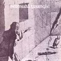 BERMUDA TRIANGLE / バミューダ・トライアングル / BERMUDA TRIANGLE /  