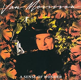 A SENSE OF WONDER / センス・オブ・ワンダー (紙ジャケ)/VAN MORRISON/ヴァン・モリソン｜OLD  ROCK｜ディスクユニオン・オンラインショップ｜diskunion.net