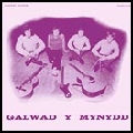 GALWAD  Y MYNYDD / GALWAD Y MYNYDD (LP)