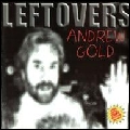 ANDREW GOLD / アンドリュー・ゴールド / LEFTOVERS