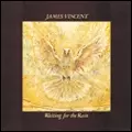 JAMES VINCENT / ジェイムズ・ヴィンセント / WAITING FOR THE RAIN / ウェイティング・フォー・ザ・レイン