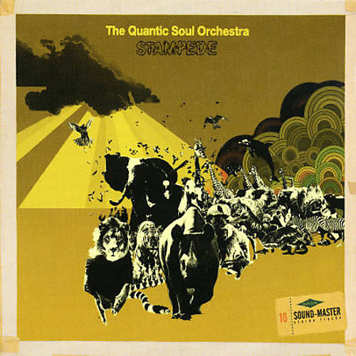 QUANTIC SOUL ORCHESTRA / クアンティック・ソウル・オーケストラ / STAMPEDE (LP)