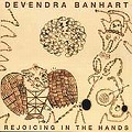 DEVENDRA BANHART / デヴェンドラ・バンハート / REJOICING IN THE HANDS