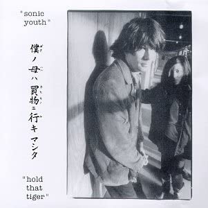 SONIC YOUTH / ソニック・ユース / HOLD THAT TIGER