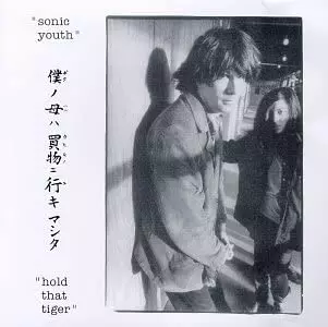【新品】Sonic Youth - Hold That Tiger HOLD THAT TIGER/SONIC YOUTH/ソニック・ユース｜ROCK / POPS / INDIE
