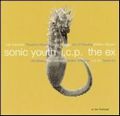 SONIC YOUTH / ソニック・ユース / IN THE FISHTANK