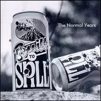 BUILT TO SPILL / ビルト・トゥ・スピル / NORMAL YEARS