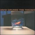 DAVID GRUBBS / デイヴィッド・グラブス / THE THICKET