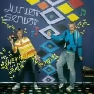 Junior Senior LP+12”✖️2枚 JUNIOR SENIOR / ジュニア・シニア商品一覧｜JAZZ｜ディスク