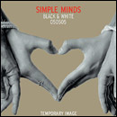SIMPLE MINDS / シンプル・マインズ / BLACK & WHITE 050505