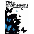 CHAMELEONS / カメレオンズ / ライヴ・フロム・ロンドン