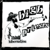 HIGH PRIESTS / HIBERNATION