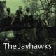 JAYHAWKS / ジェイホークス / TOMORROW THE GREEN GRASS