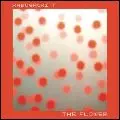 FERNANDO KABUSACKI / フェルナンド・カブサッキ / FLOWER + THE RADIO / ザ・フラワー+ザ・レディオ