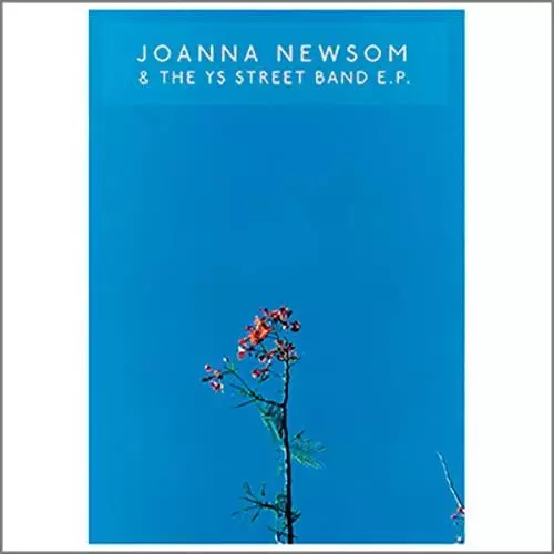 Joanna Newsom レコード　4作品セット Yahoo!オークション -「joanna newsom」(音楽) の落札相場・落札価格