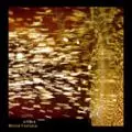 MONO FONTANA / モノ・フォンタナ商品一覧｜LATIN/BRAZIL/WORLD