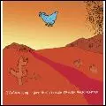 SAM AMIDON / サム・アミドン / BUT THIS CHICKEN PROVED