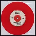 OCEAN COLOUR SCENE / オーシャン・カラー・シーン / I JUST GOT OVER YOU