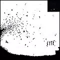 KYTE / カイト / KYTE / カイト