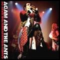 ADAM AND THE ANTS / アダム・アンド・ジ・アンツ / DANDY HIGHWAYMEN THE BEST OF (2CD)