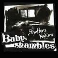 BABYSHAMBLES / ベイビーシャンブルズ / SHOTTER'S NATION (SPECIAL EDITION) / ショッターズ・ネイション (スペシャル・エディション)