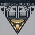 THESE NEW PURITANS / ジーズ・ニュー・ピューリタンズ / BEAT PYRAMID / ビート・ピラミッド
