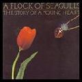 A FLOCK OF SEAGULLS / ア・フロック・オブ・シーガルズ / STORY OF A YOUNG HEART
