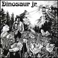 DINOSAUR JR. / ダイナソー・ジュニア / DINOSAUR JR (COLOR VINYL)