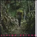 V.A./ Rock (US&Canada) / LIVING BRIDGE