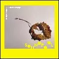 SOUNDPOOL / サウンドプール / DICHOTOMIES + DREAMLAND / ダイカトゥミーズ・アンド・ドリームランド