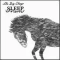 BIG SLEEP / ビッグ・スリープ / SLEEP FOREVER